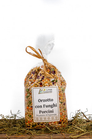 Orzotto con funghi porcini