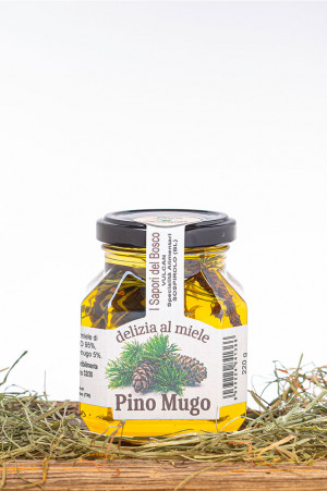 Miele al  pino mugo